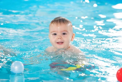 Дельфин (Бассейн)