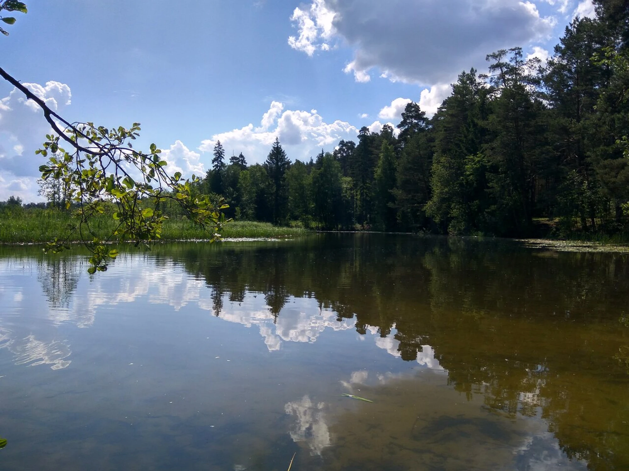 Пляж (Пляж)