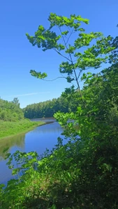 Тайга (Дом отдыха)