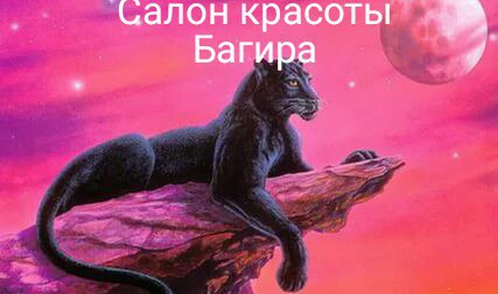 Багира (Салон красоты )