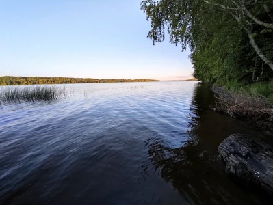 Пляж (Пляж)
