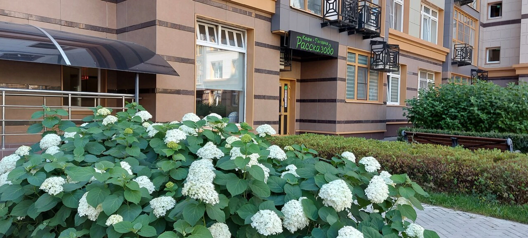 Perfetto Osteria (Ресторан )