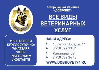 Добровет (Ветеринарная клиника )
