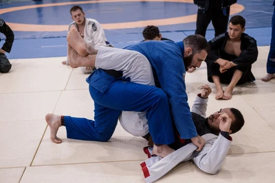 Maximus Fight Team, Клуб смешанных единоборств