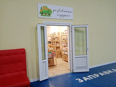 Развивающие игрушки (Детские игрушки и игры)