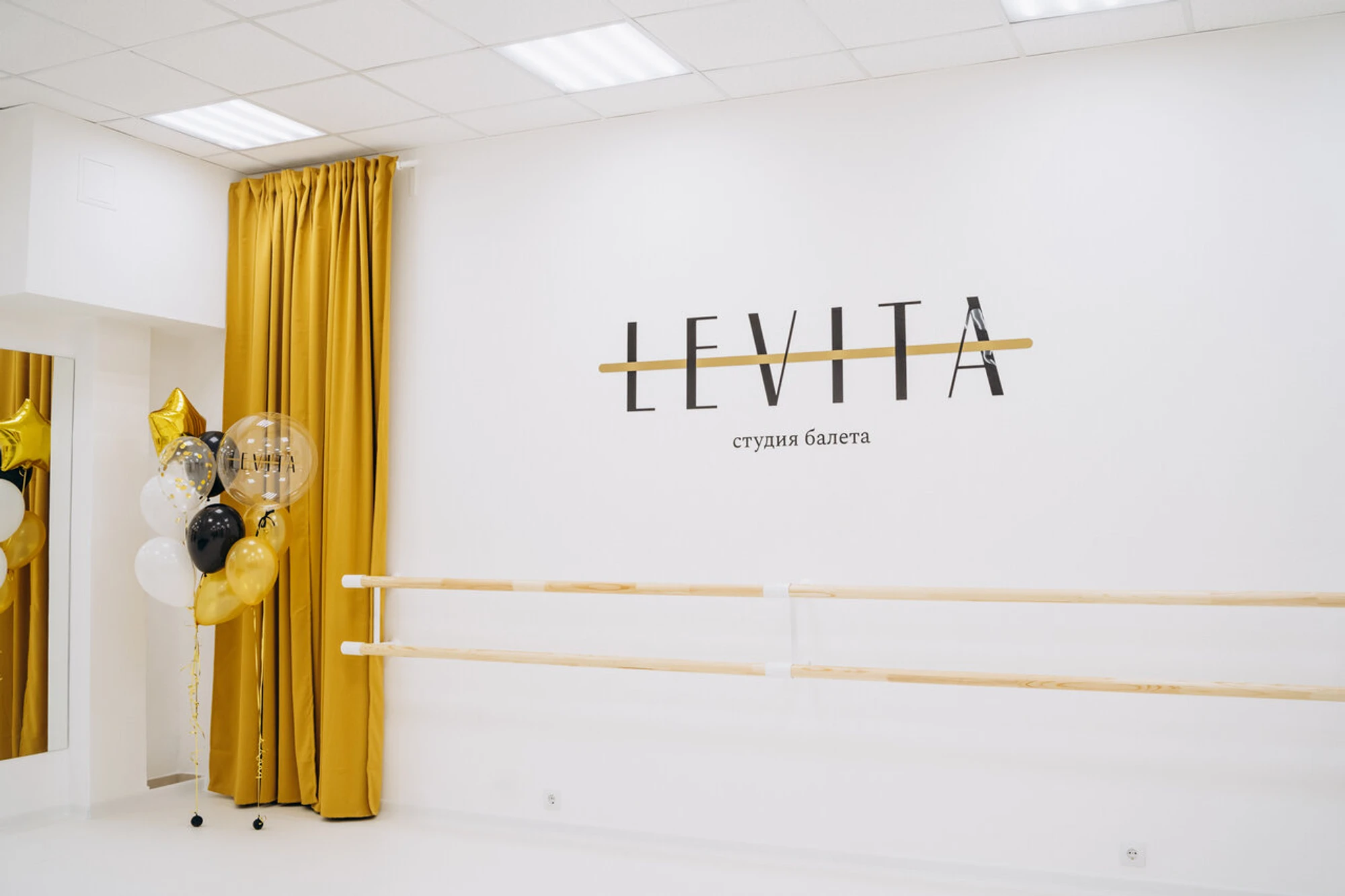 Levita (Фитнес-клуб )