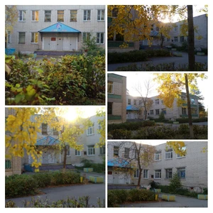 Государственное бюджетное учреждение здравоохранения Детский пульмонологический санаторий Светлана (Санаторий)