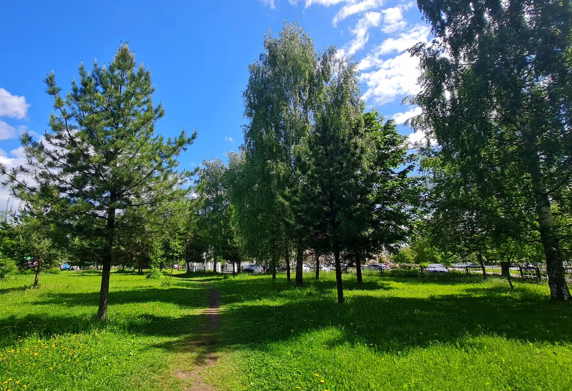 Угличский парк, Парк культуры и отдыха