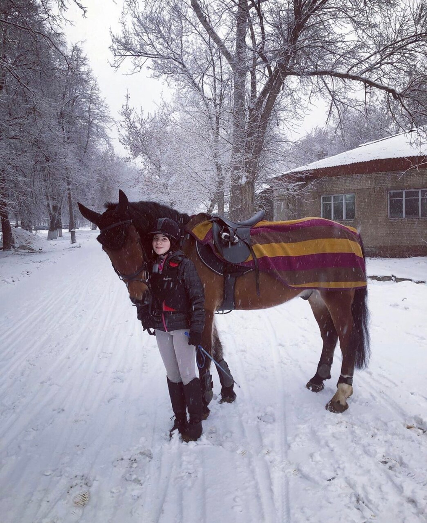 Изображение галлереи