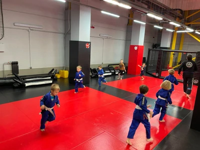 Бразильское джиу-джитсу, Бжж (Спортивная школа )