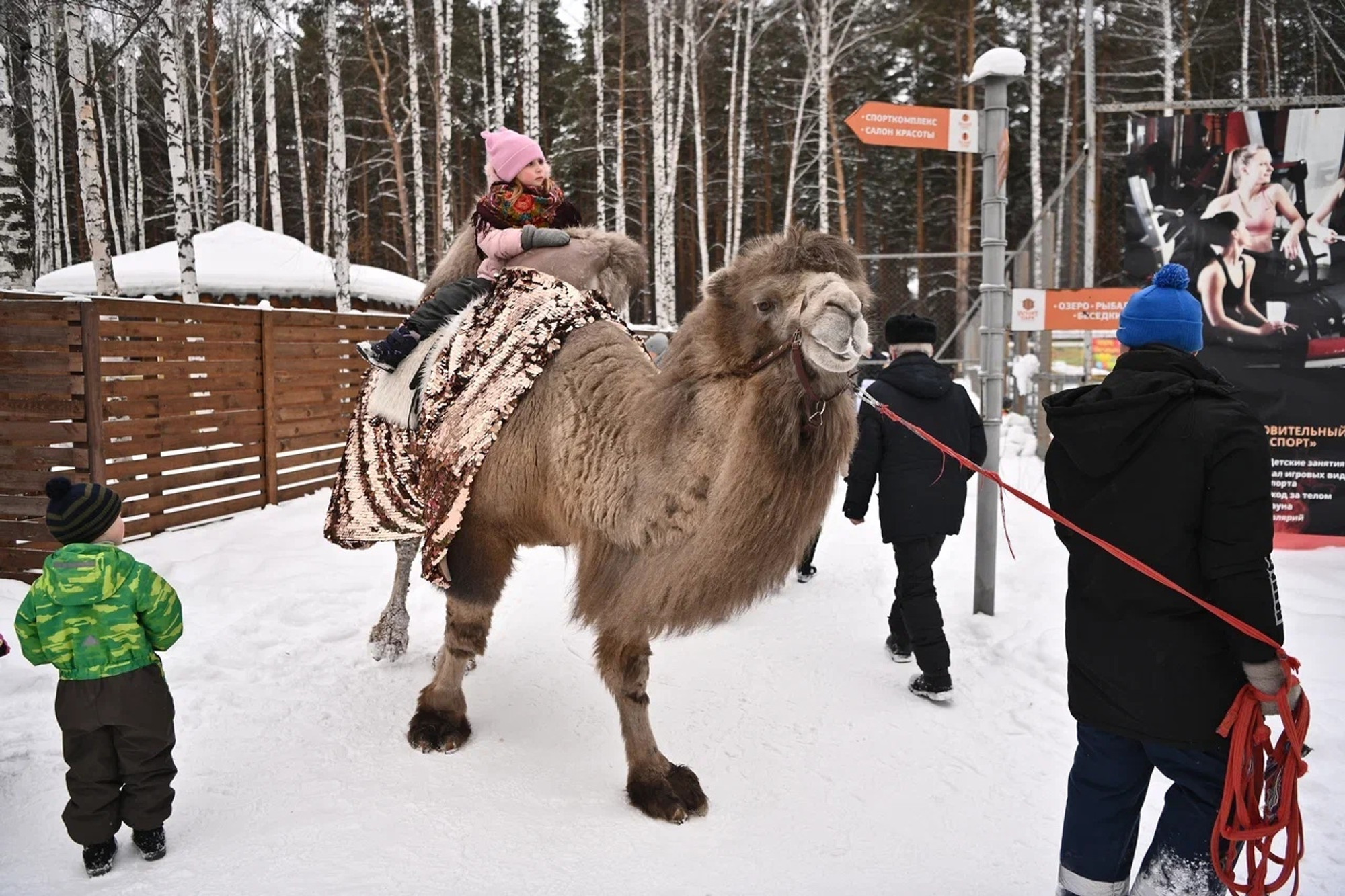 Изображение галлереи