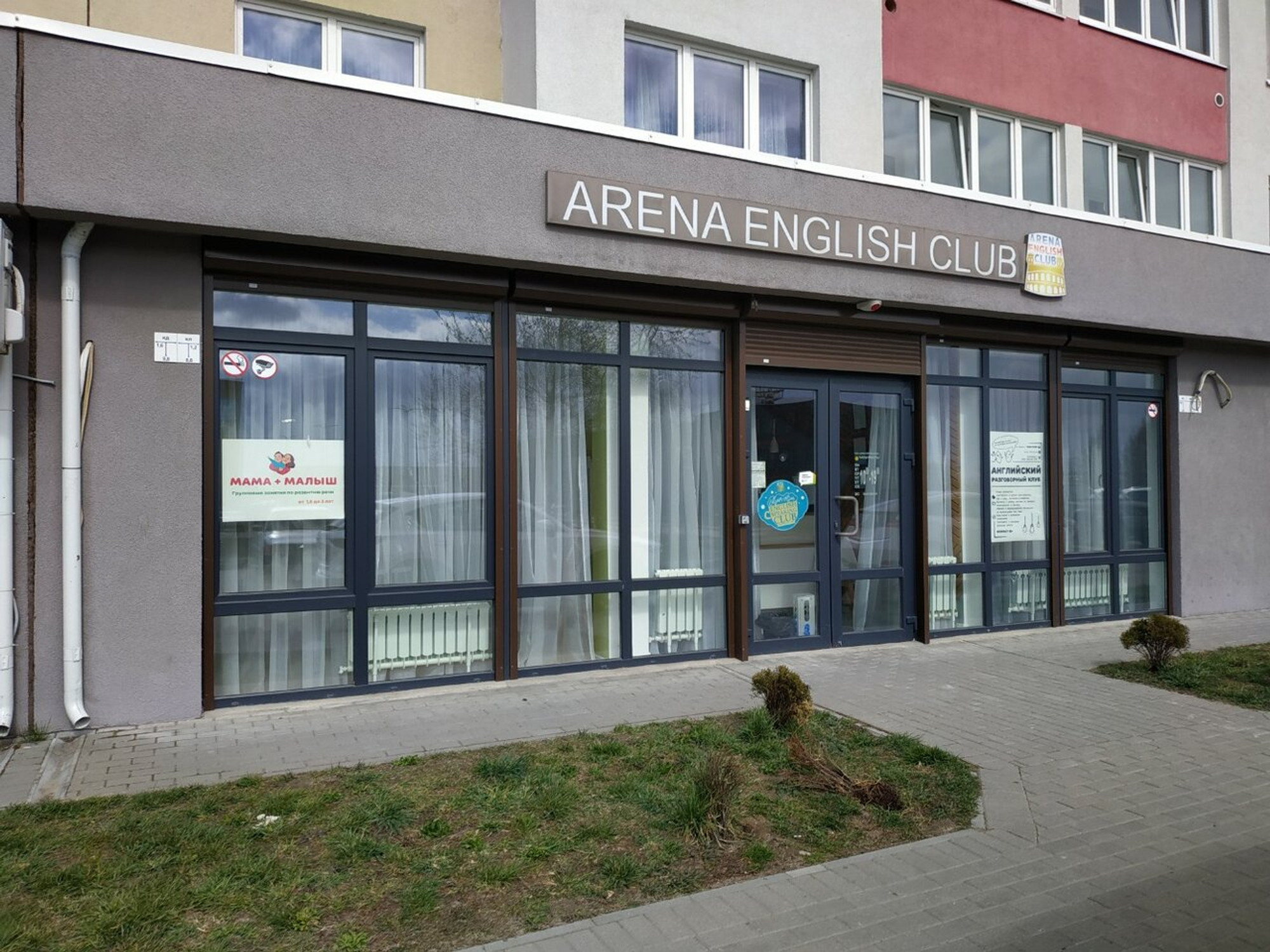 Arena English Club (Курсы иностранных языков )