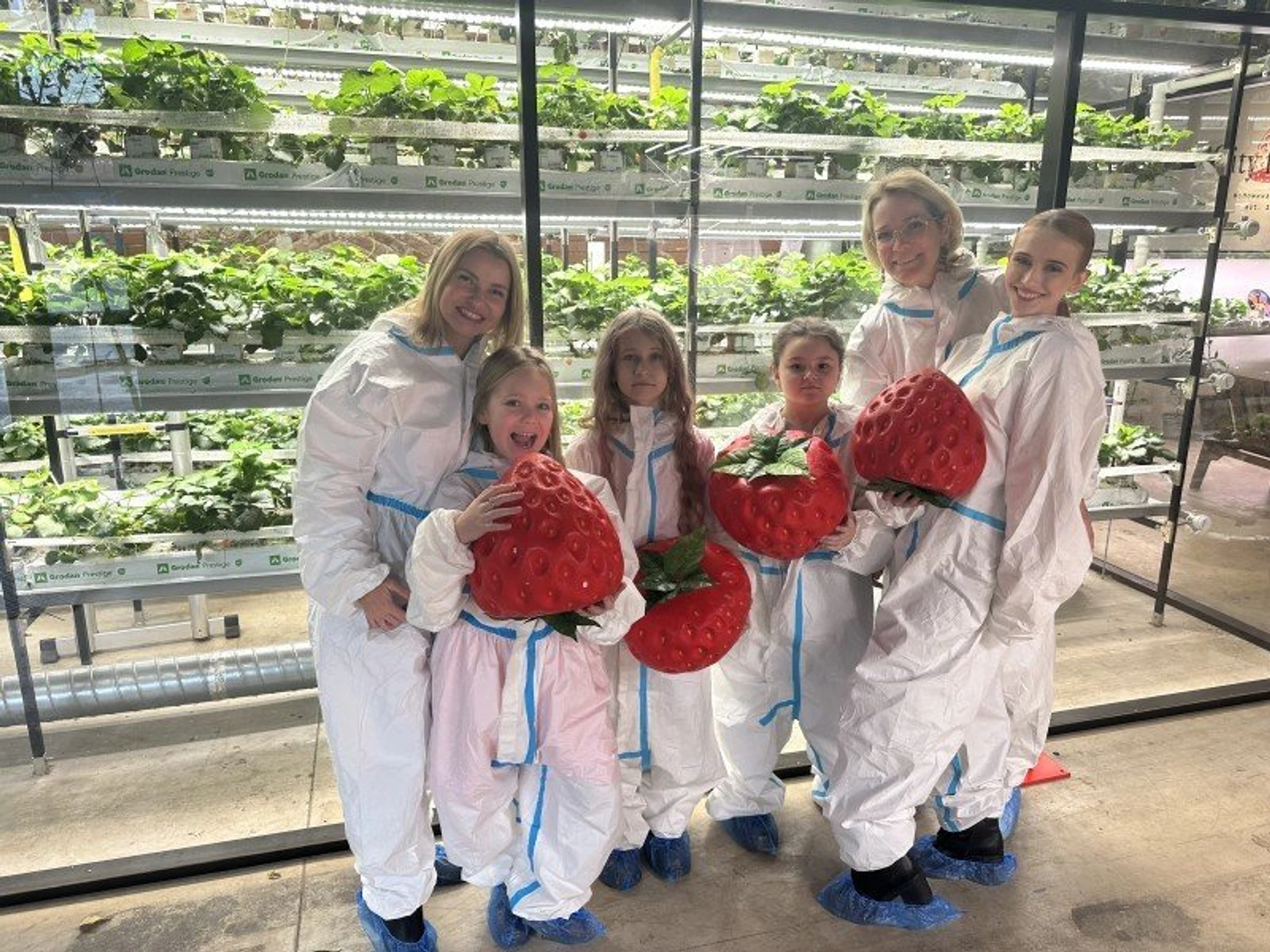 Фото:&nbsp;vk.com/strawberyfarm