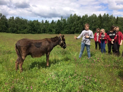 Экскурсии для школьников в "Страусленд"