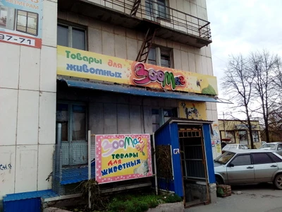 Сами с усами (Ветеринарная клиника )