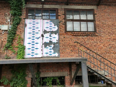 Дачник (Селекция и семеноводство )