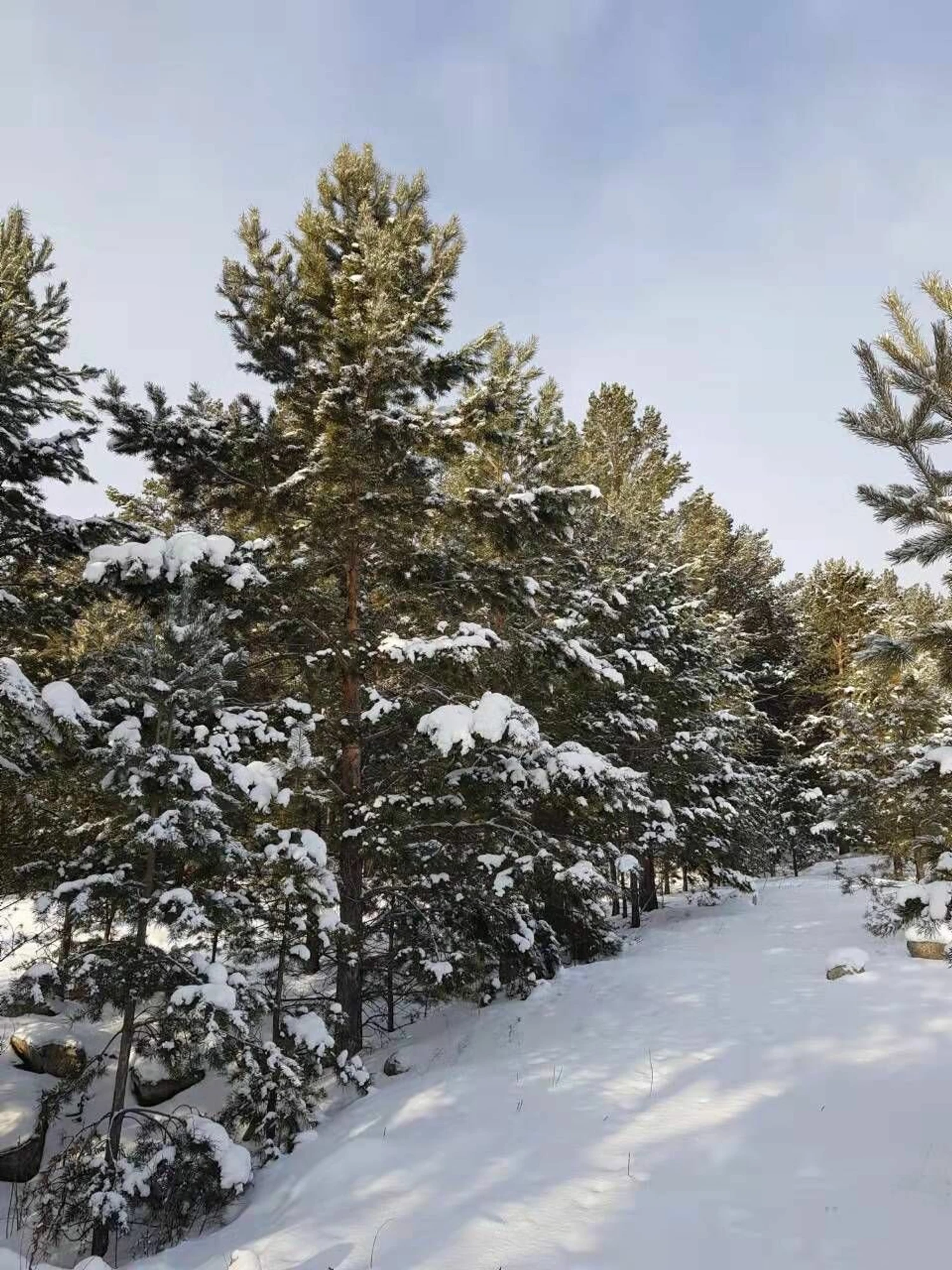 Кучигер (Санаторий )