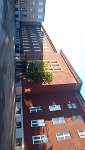 Балтийская государственная академия рыбопромыслового флота (ВУЗ)