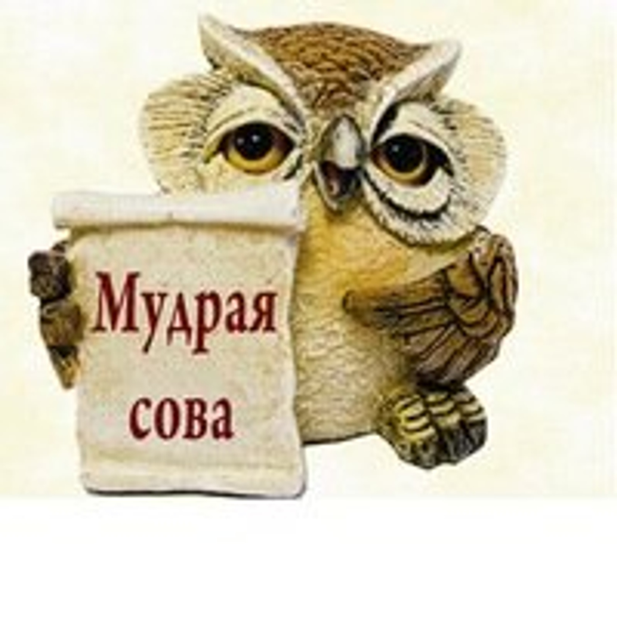 Мудрая сова (Услуги репетиторов )