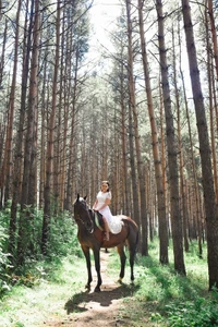 Частная конюшня Тулпар (Конный клуб )