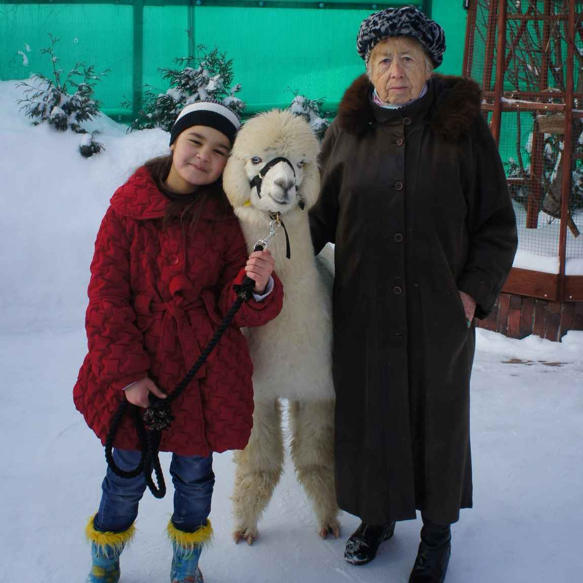 Почему детям у нас нравится?