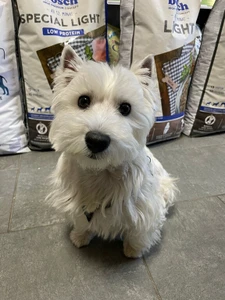 ВетПлюс (Ветеринарная клиника )